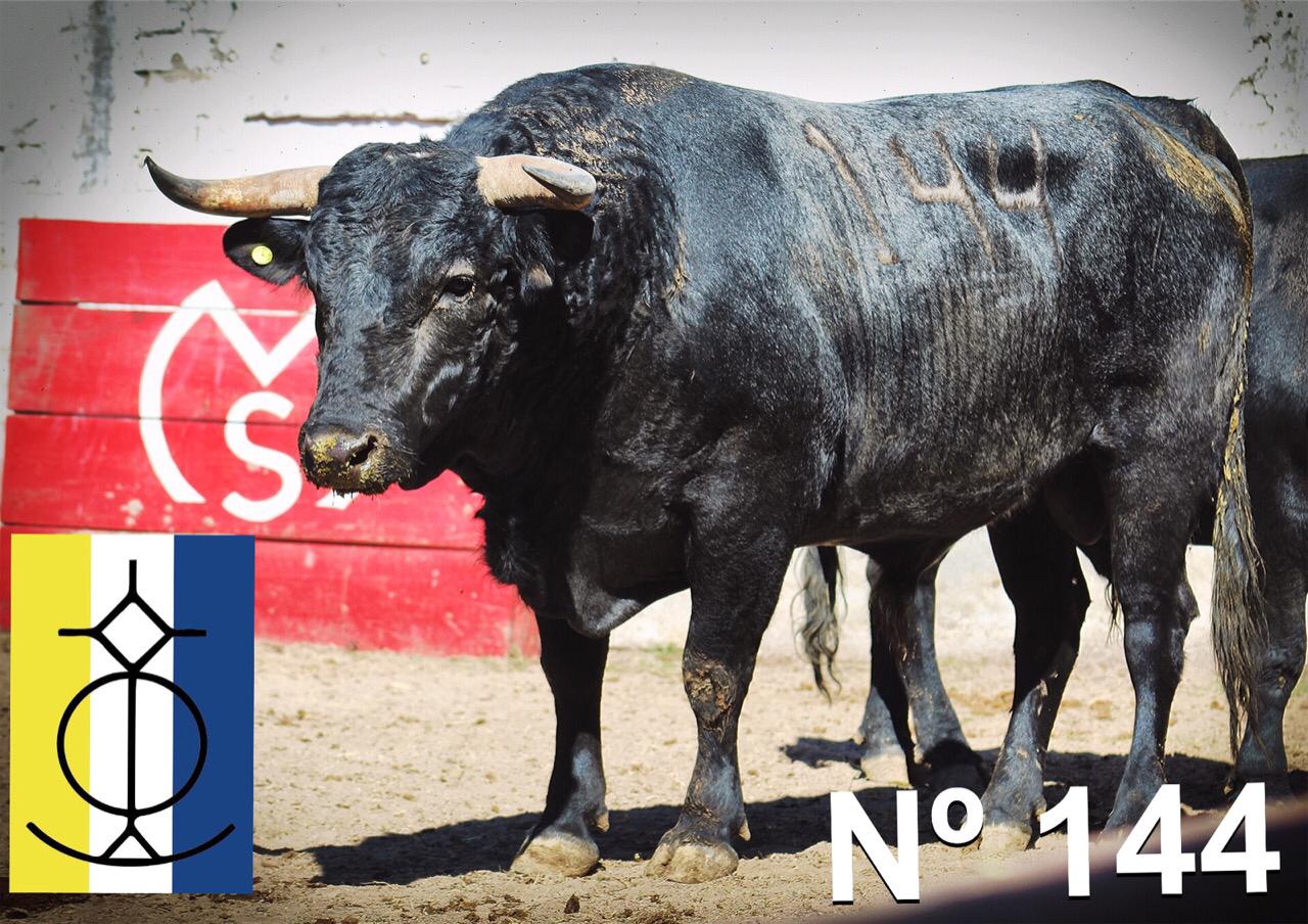 Querétaro (México) - Toros de "De Mora" para el festejo de Navidad con Diego Ventura y Ignacio Garibay y Jerónimo