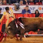 Miércoles, 12 de diciembre de 2018. Corrida Guadalupana