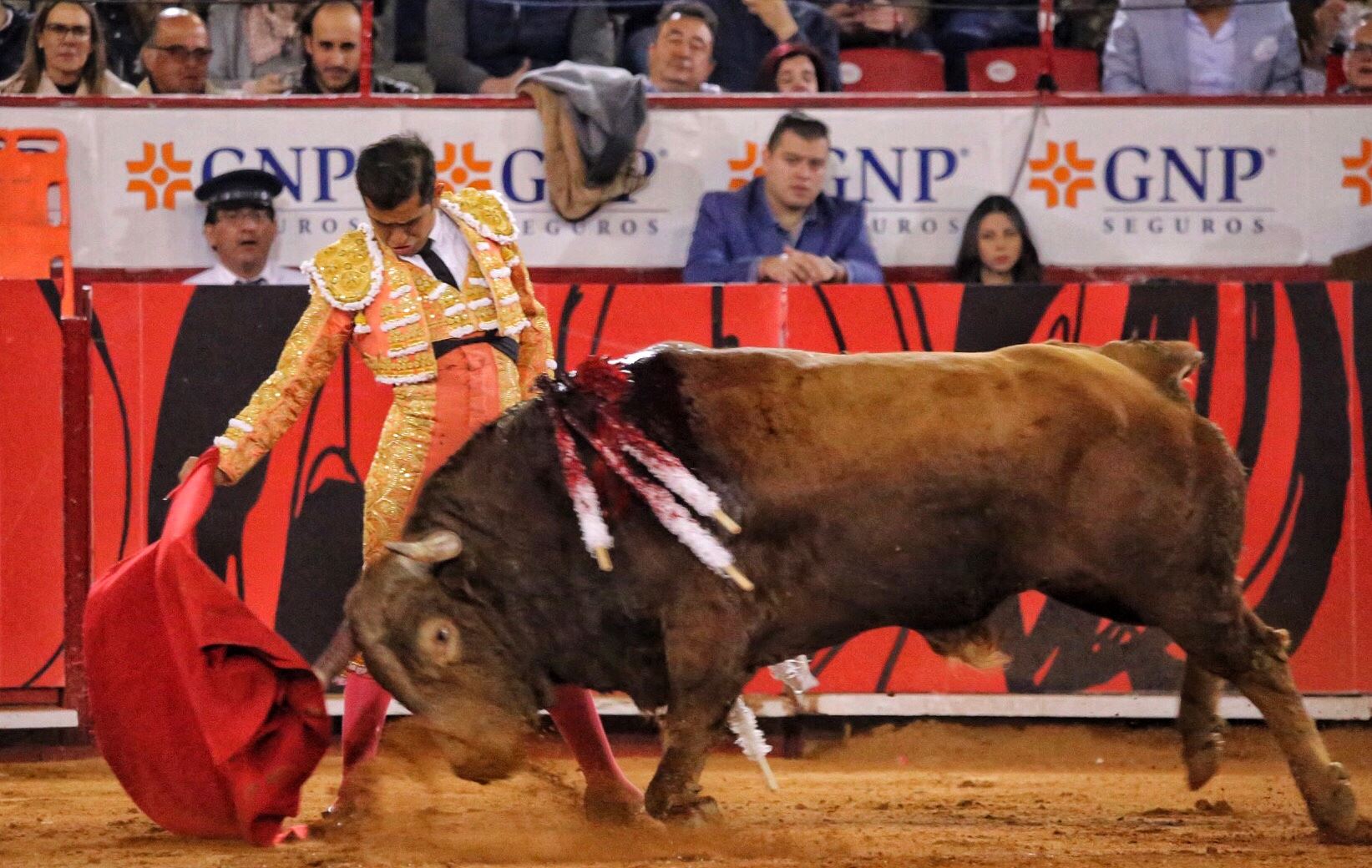 Miércoles, 12 de diciembre de 2018. Corrida Guadalupana