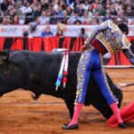 Miércoles, 12 de diciembre de 2018. Corrida Guadalupana