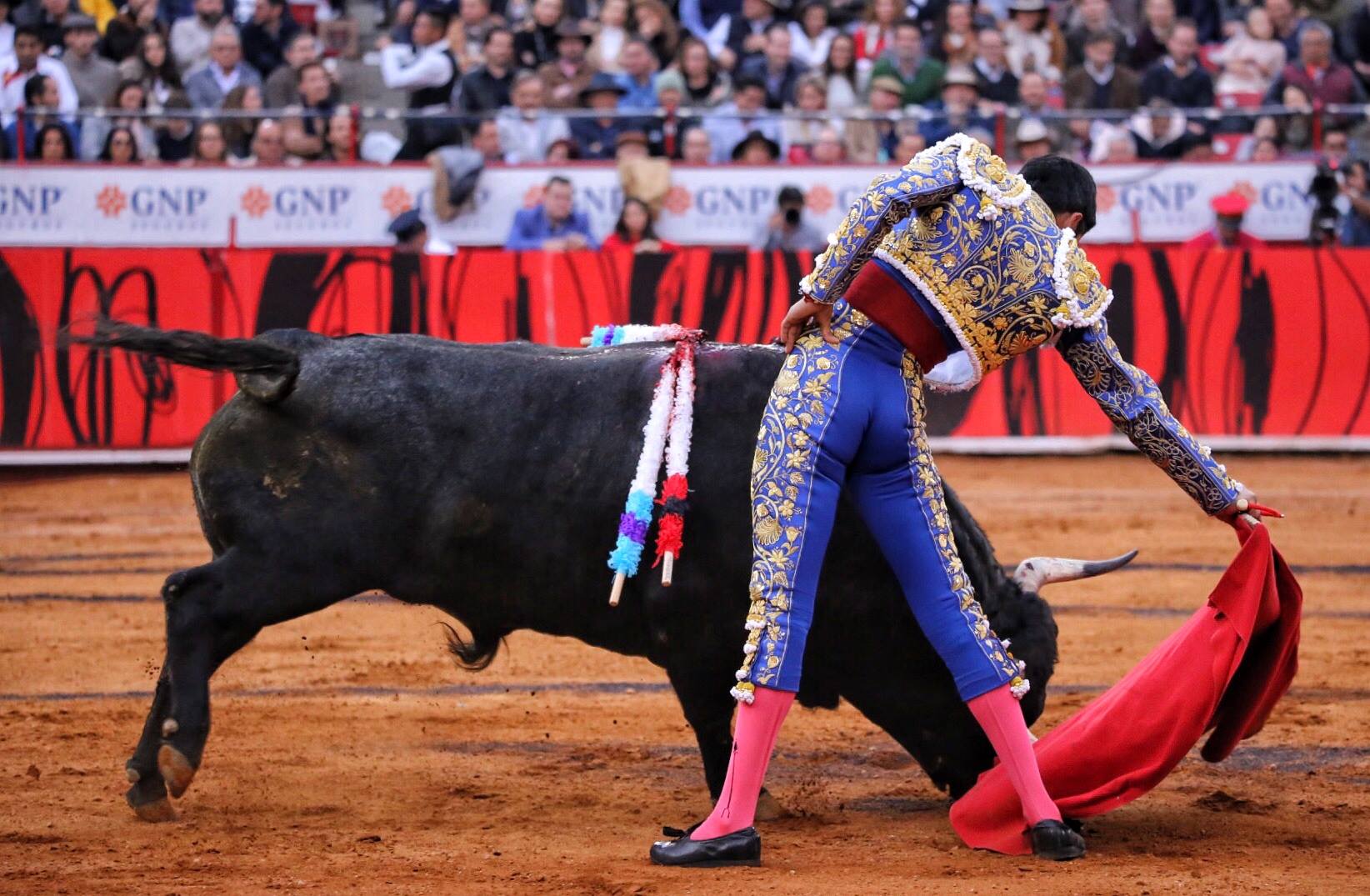Miércoles, 12 de diciembre de 2018. Corrida Guadalupana