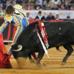 Miércoles, 12 de diciembre de 2018. Corrida Guadalupana