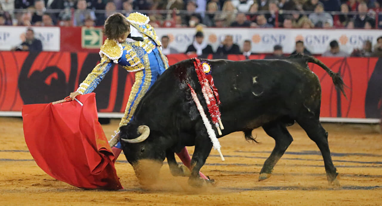 Miércoles, 12 de diciembre de 2018. Corrida Guadalupana