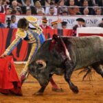 Miércoles, 12 de diciembre de 2018. Corrida Guadalupana