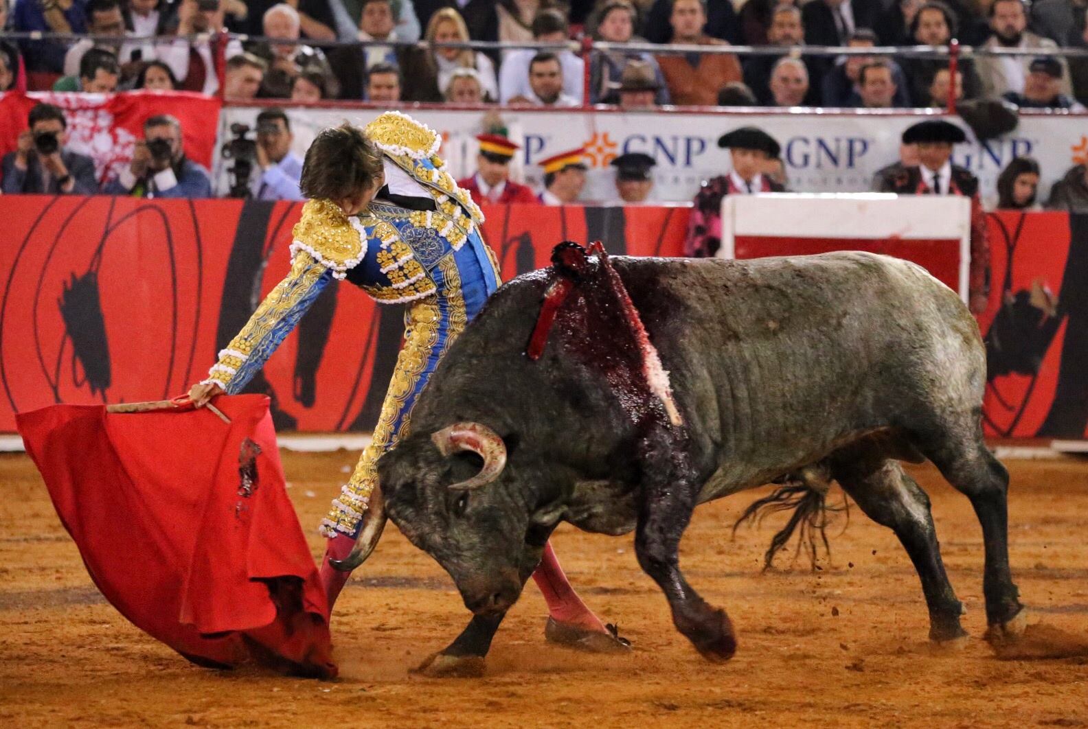 Miércoles, 12 de diciembre de 2018. Corrida Guadalupana
