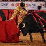 Miércoles, 12 de diciembre de 2018. Corrida Guadalupana