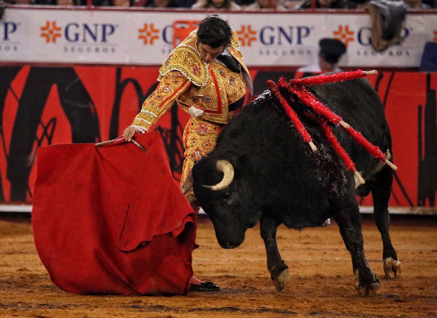 Miércoles, 12 de diciembre de 2018. Corrida Guadalupana