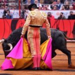 Miércoles, 12 de diciembre de 2018. Corrida Guadalupana