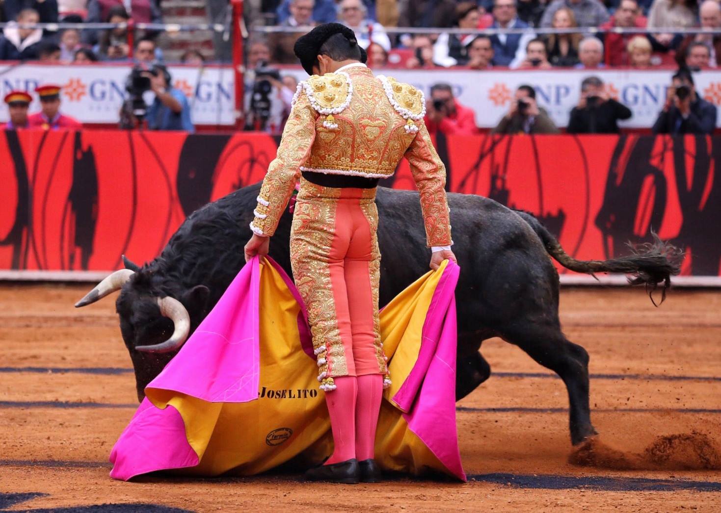 Miércoles, 12 de diciembre de 2018. Corrida Guadalupana
