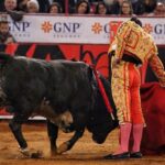 Miércoles, 12 de diciembre de 2018. Corrida Guadalupana