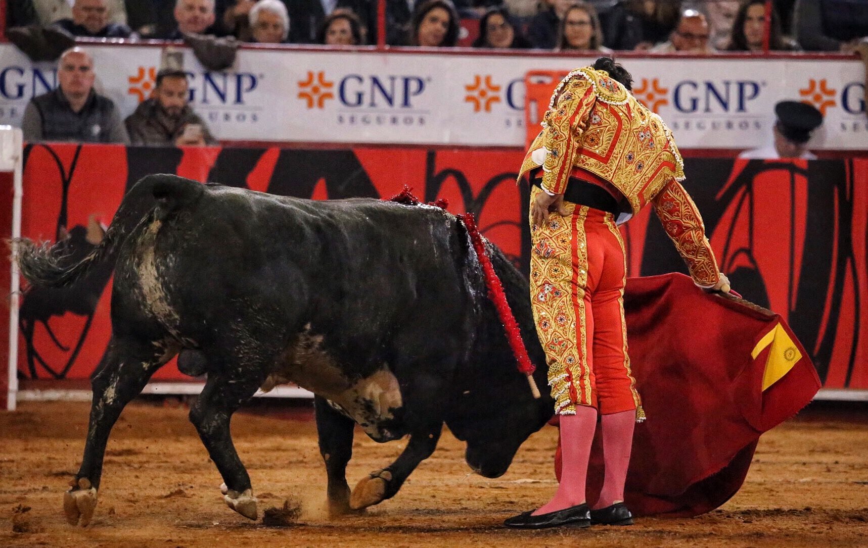 Miércoles, 12 de diciembre de 2018. Corrida Guadalupana