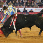 Miércoles, 12 de diciembre de 2018. Corrida Guadalupana