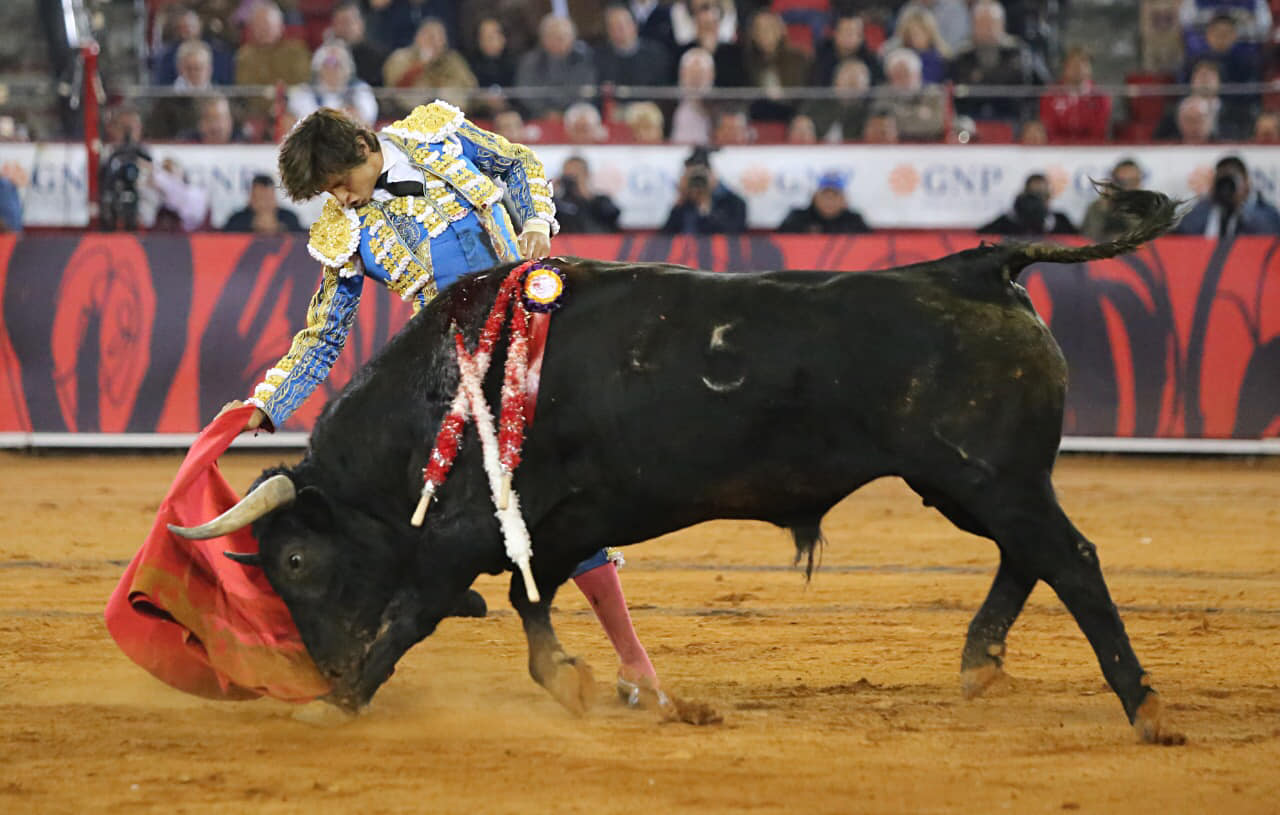 Miércoles, 12 de diciembre de 2018. Corrida Guadalupana