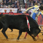 Miércoles, 12 de diciembre de 2018. Corrida Guadalupana