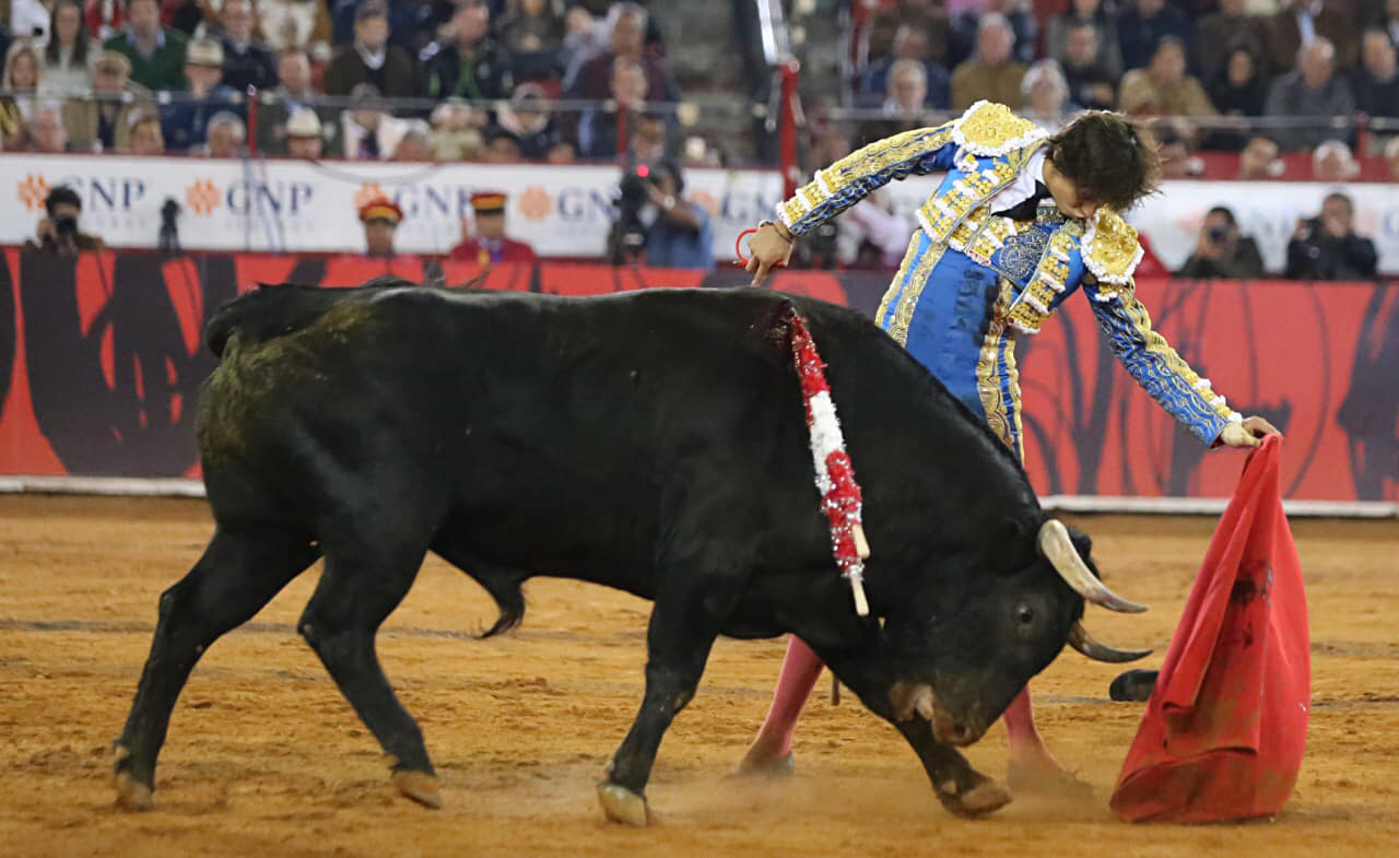 Miércoles, 12 de diciembre de 2018. Corrida Guadalupana