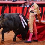 Miércoles, 12 de diciembre de 2018. Corrida Guadalupana