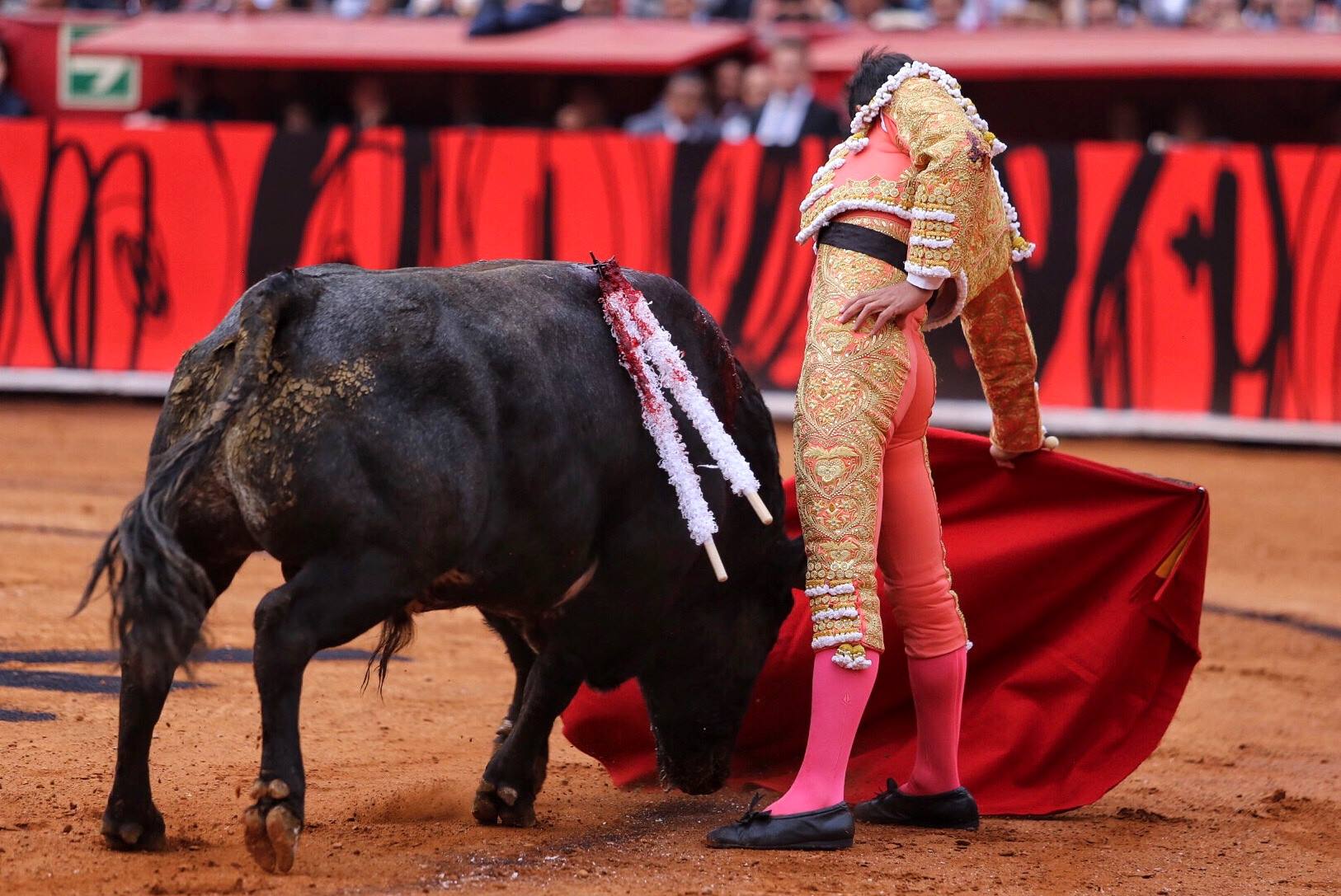 Miércoles, 12 de diciembre de 2018. Corrida Guadalupana