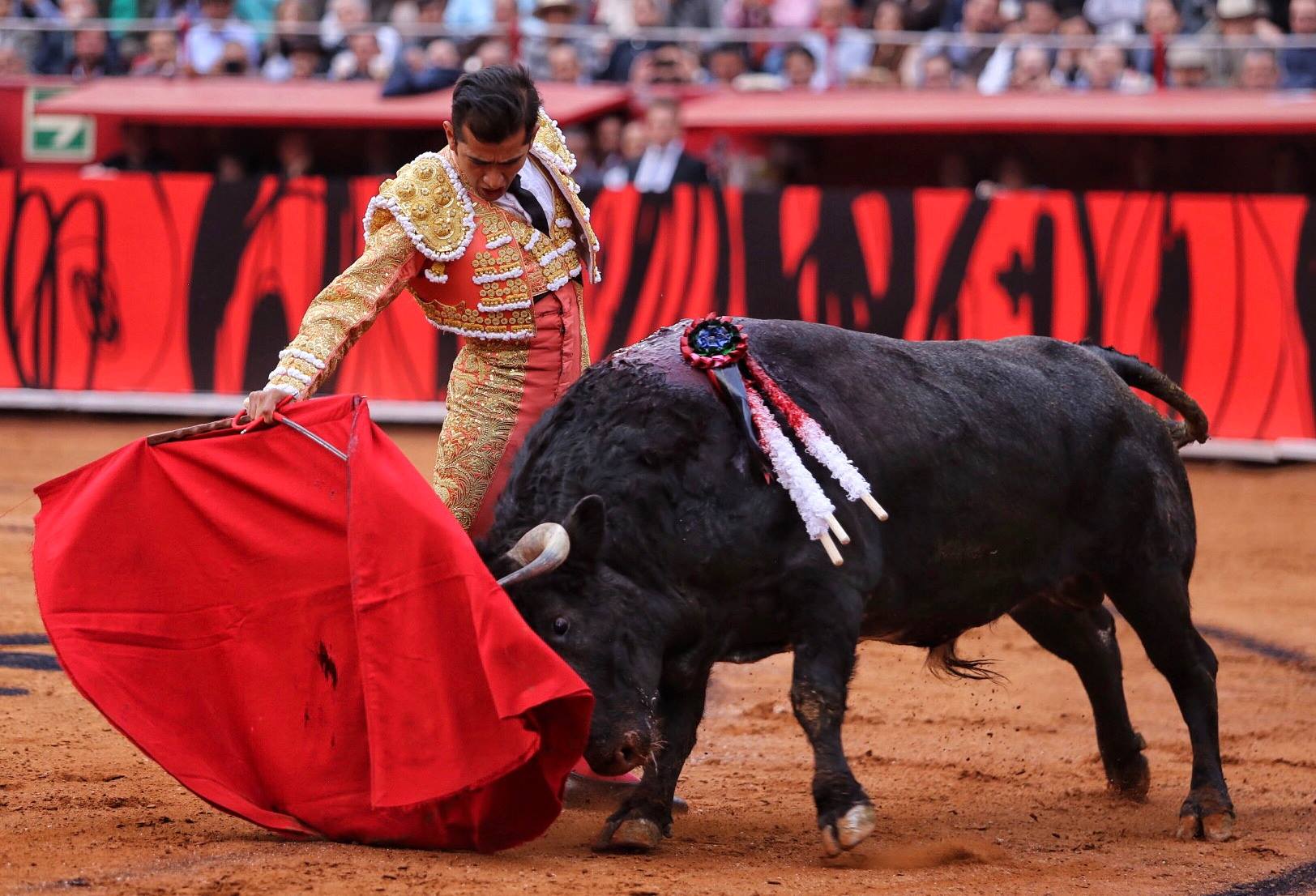 Miércoles, 12 de diciembre de 2018. Corrida Guadalupana