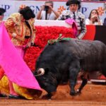 Miércoles, 12 de diciembre de 2018. Corrida Guadalupana