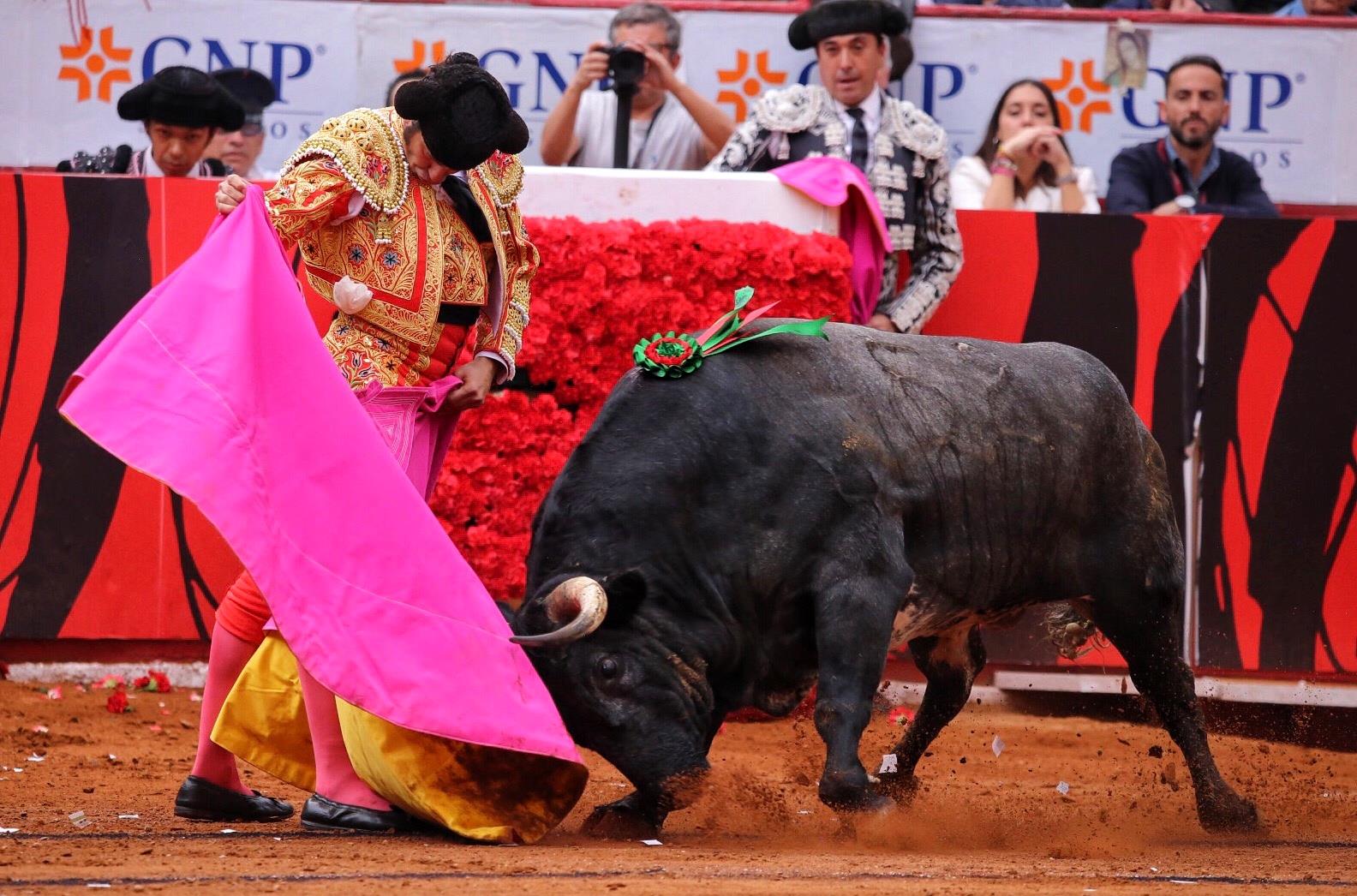 Miércoles, 12 de diciembre de 2018. Corrida Guadalupana