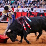 Miércoles, 12 de diciembre de 2018. Corrida Guadalupana
