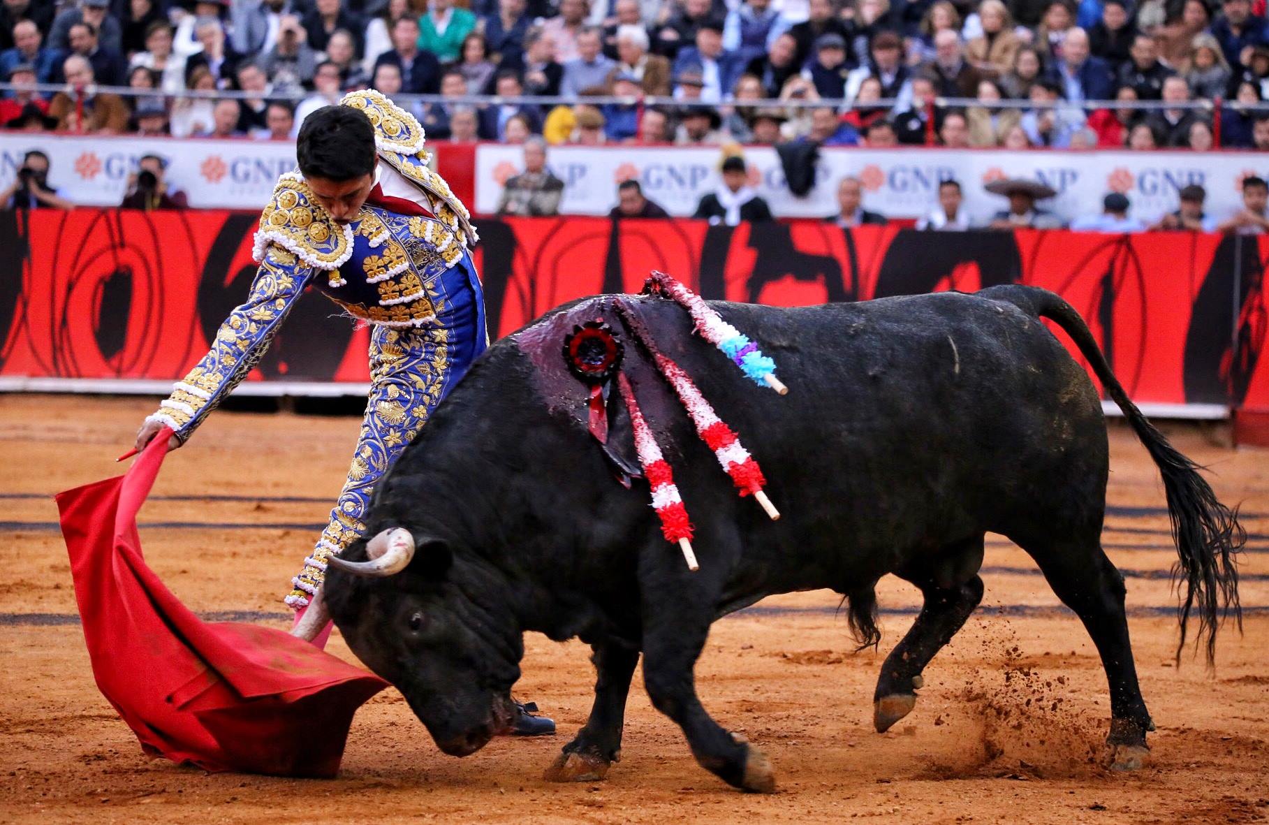 Miércoles, 12 de diciembre de 2018. Corrida Guadalupana