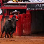 Miércoles, 12 de diciembre de 2018. Corrida Guadalupana