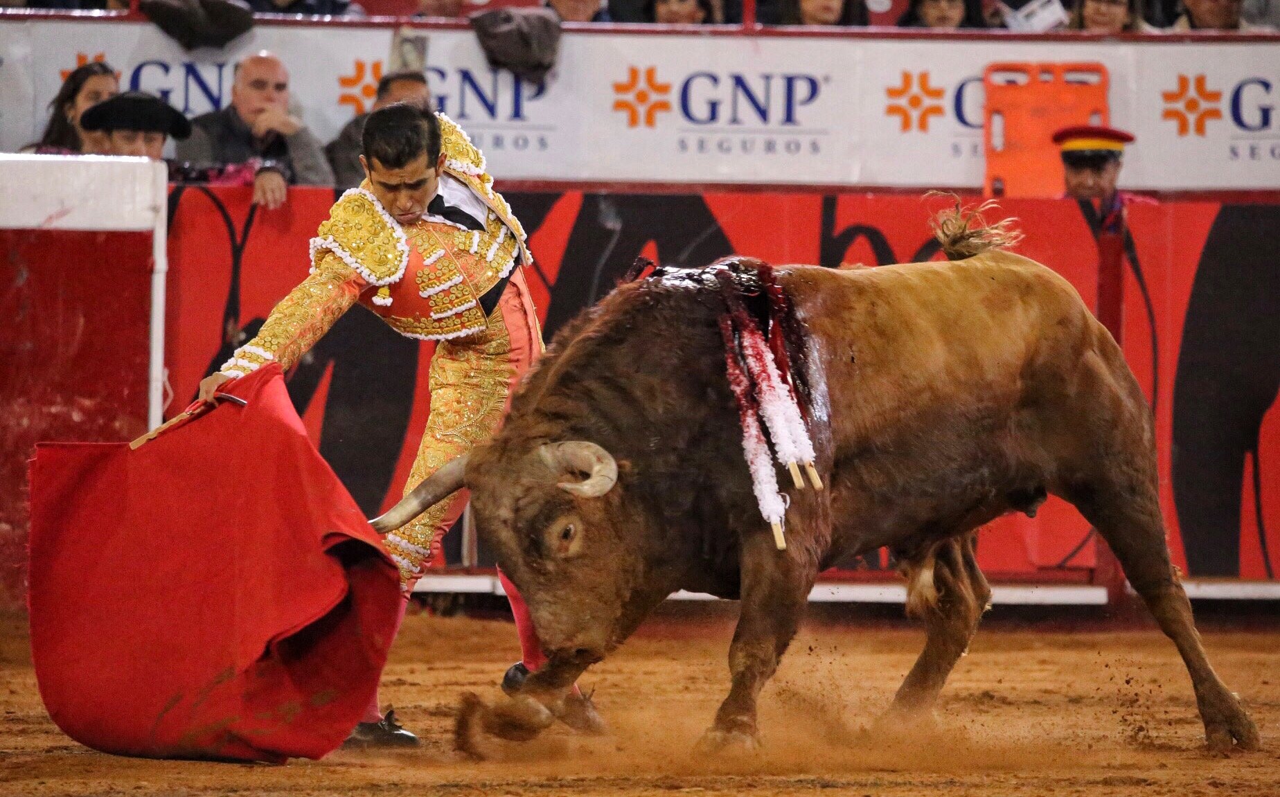 Miércoles, 12 de diciembre de 2018. Corrida Guadalupana