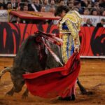 Miércoles, 12 de diciembre de 2018. Corrida Guadalupana