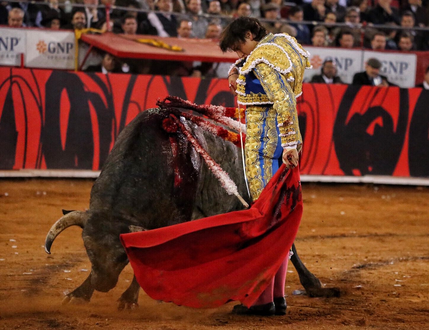 Miércoles, 12 de diciembre de 2018. Corrida Guadalupana