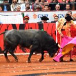 México DF. 12 de diciembre de 2018. Corrida Guadalupana