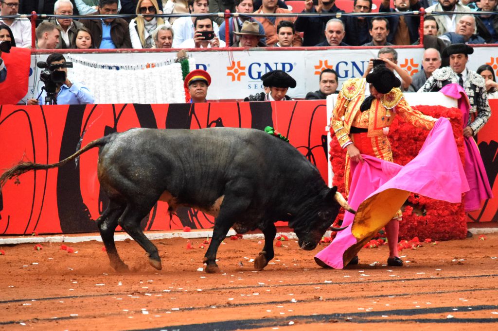 México DF. 12 de diciembre de 2018. Corrida Guadalupana
