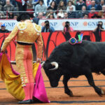 México DF. 12 de diciembre de 2018. Corrida Guadalupana