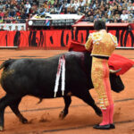 México DF. 12 de diciembre de 2018. Corrida Guadalupana