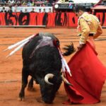 México DF. 12 de diciembre de 2018. Corrida Guadalupana