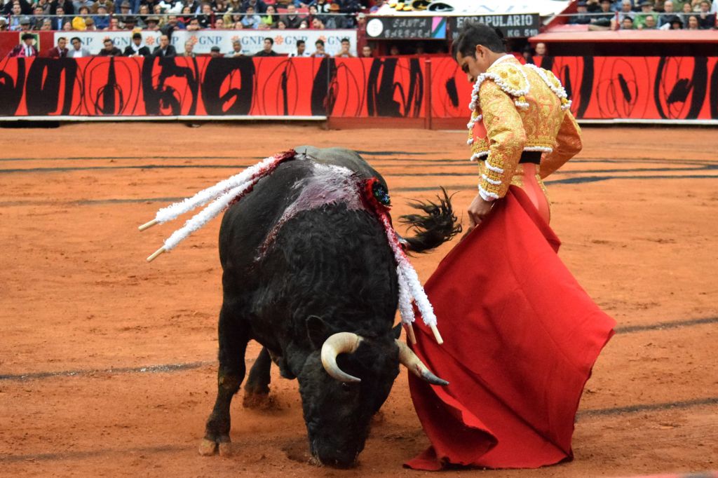 México DF. 12 de diciembre de 2018. Corrida Guadalupana