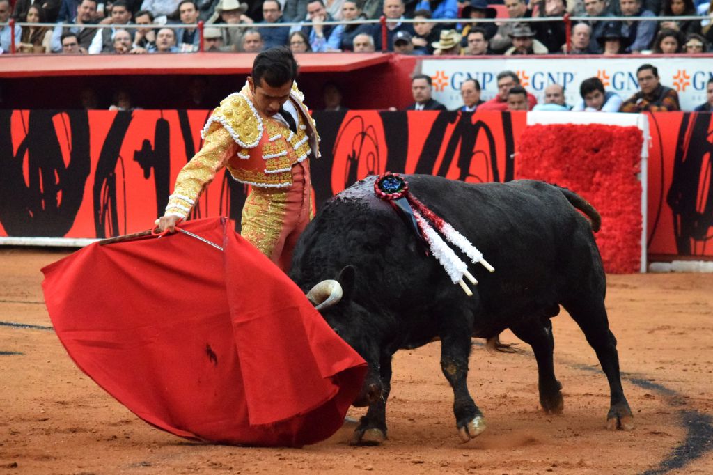 México DF. 12 de diciembre de 2018. Corrida Guadalupana