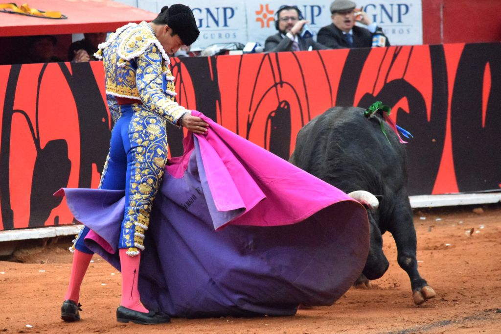 México DF. 12 de diciembre de 2018. Corrida Guadalupana