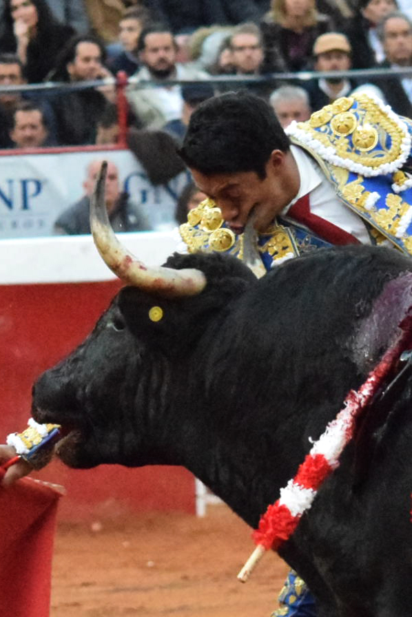 México DF. 12 de diciembre de 2018. Corrida Guadalupana