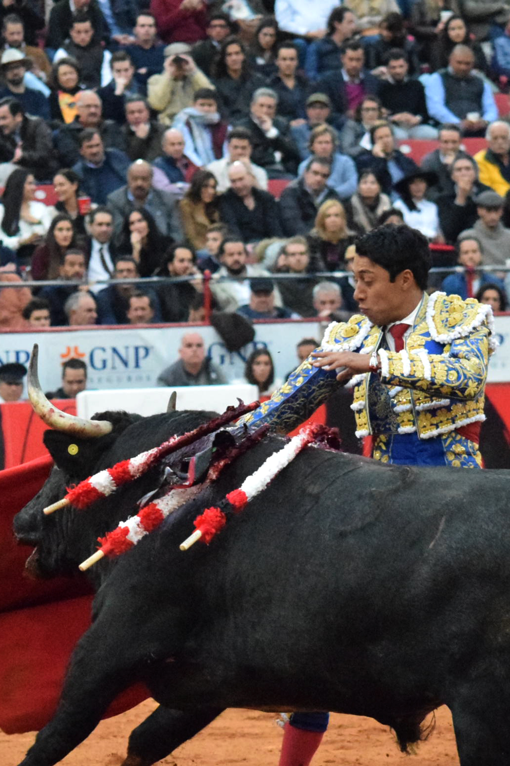 México DF. 12 de diciembre de 2018. Corrida Guadalupana
