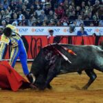 México DF. 12 de diciembre de 2018. Corrida Guadalupana