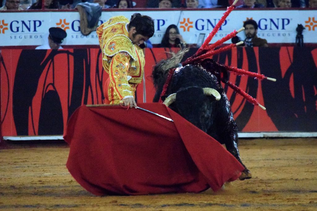México DF. 12 de diciembre de 2018. Corrida Guadalupana