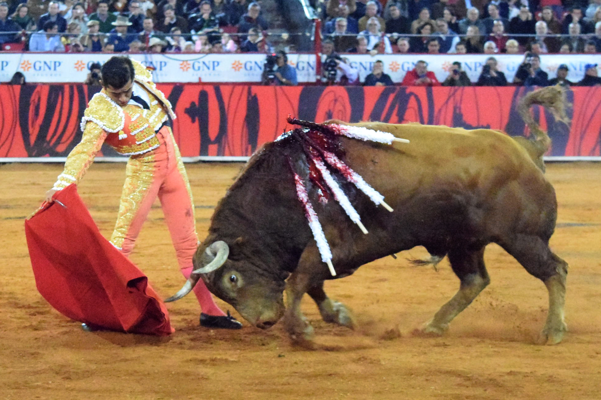México DF. 12 de diciembre de 2018. Corrida Guadalupana