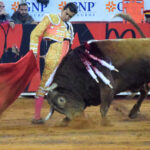México DF. 12 de diciembre de 2018. Corrida Guadalupana