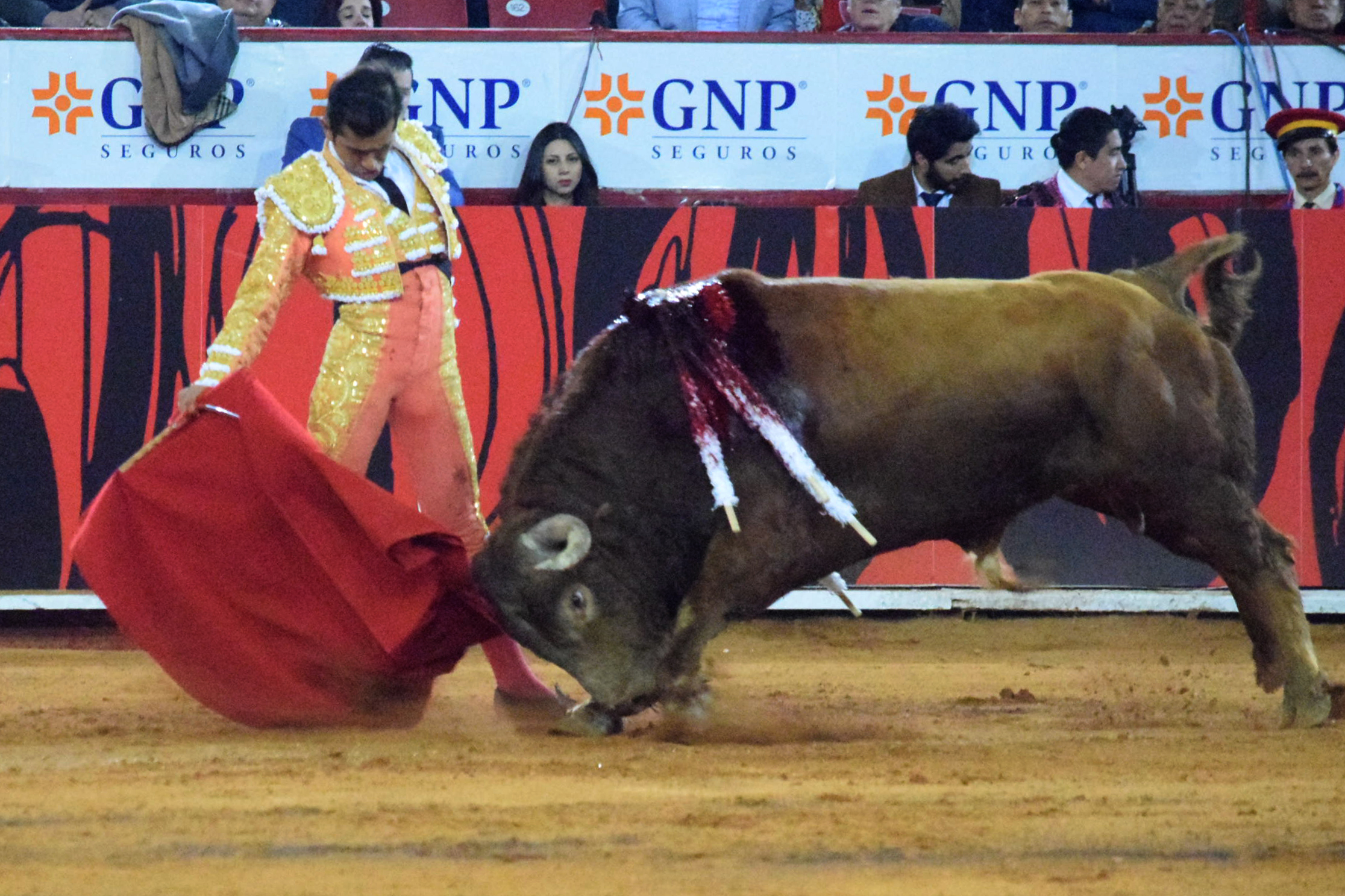 México DF. 12 de diciembre de 2018. Corrida Guadalupana