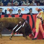 México DF. 12 de diciembre de 2018. Corrida Guadalupana