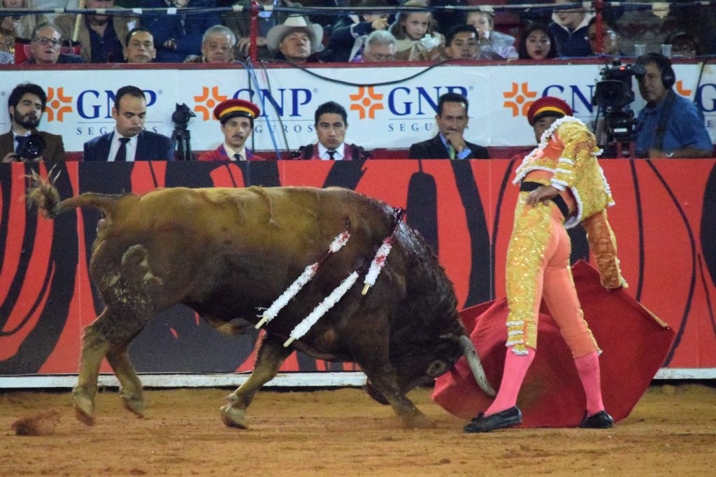 México DF. 12 de diciembre de 2018. Corrida Guadalupana