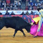 México DF. 12 de diciembre de 2018. Corrida Guadalupana