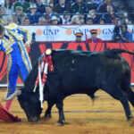 México DF. 12 de diciembre de 2018. Corrida Guadalupana