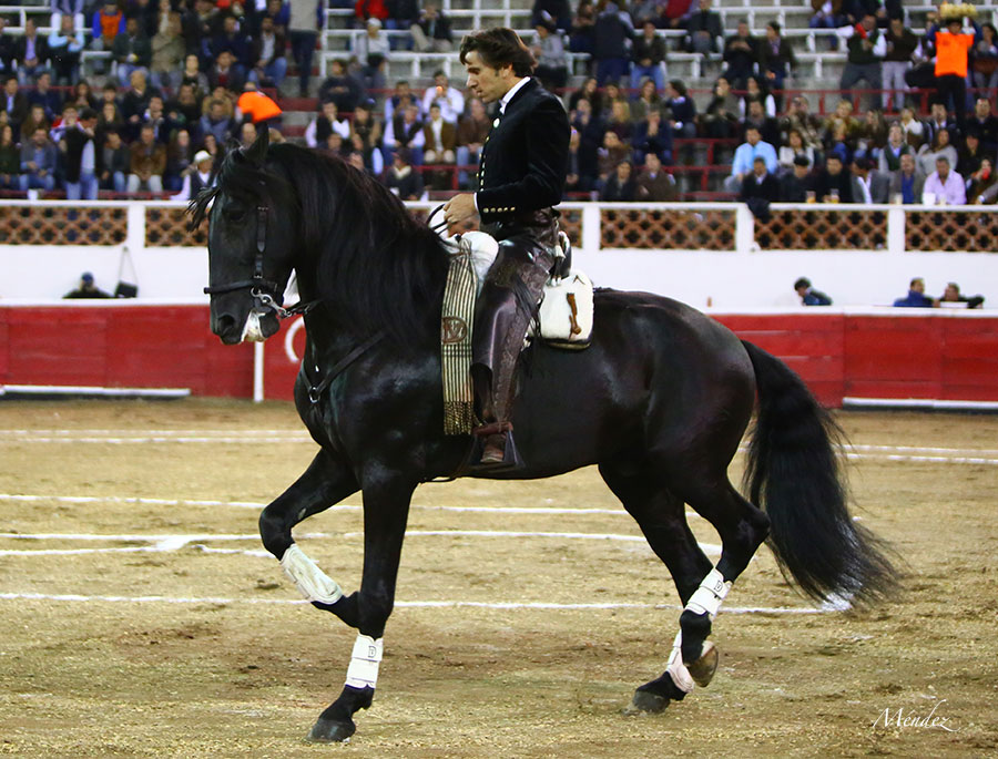 Querétaro (México) - Viernes 30 de noviembre de 2018